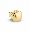 Custom Gold, Silver & Diamond Grillz